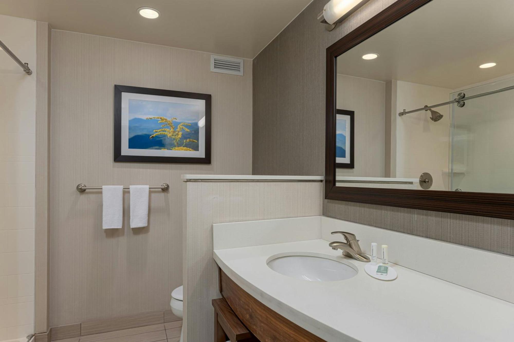 Courtyard By Marriott Asheville Airport Fletcher Exteriér fotografie